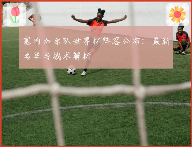 塞内加尔队世界杯阵容公布：最新名单与战术解析