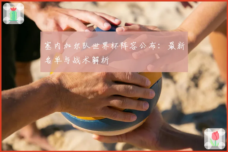 塞内加尔队世界杯阵容公布：最新名单与战术解析